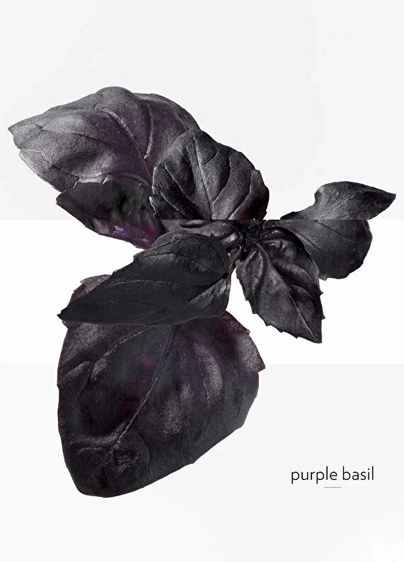 hermes-terre-dhermes-eau-de-toilette-50ml-05 IMAGE