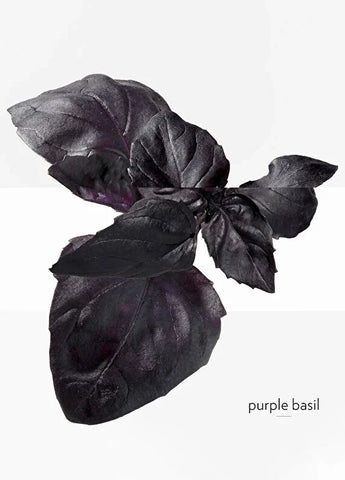 hermes-terre-dhermes-eau-de-toilette-50ml-05 IMAGE