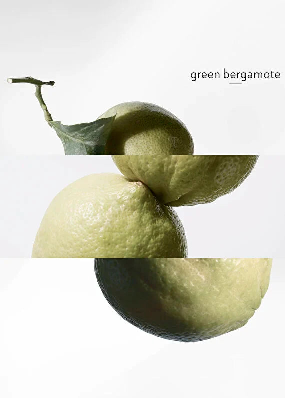 hermes-terre-dhermes-eau-de-toilette-50ml-06 IMAGE