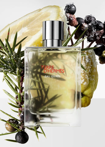 hermes-terre-dhermes-eau-givree-edp-175-ml-erkek-parfum-01200-05 image