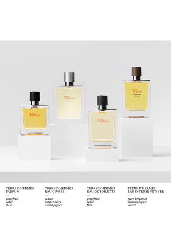 hermes-terre-dhermes-eau-givree-edp-175-ml-erkek-parfum-01200-06 image