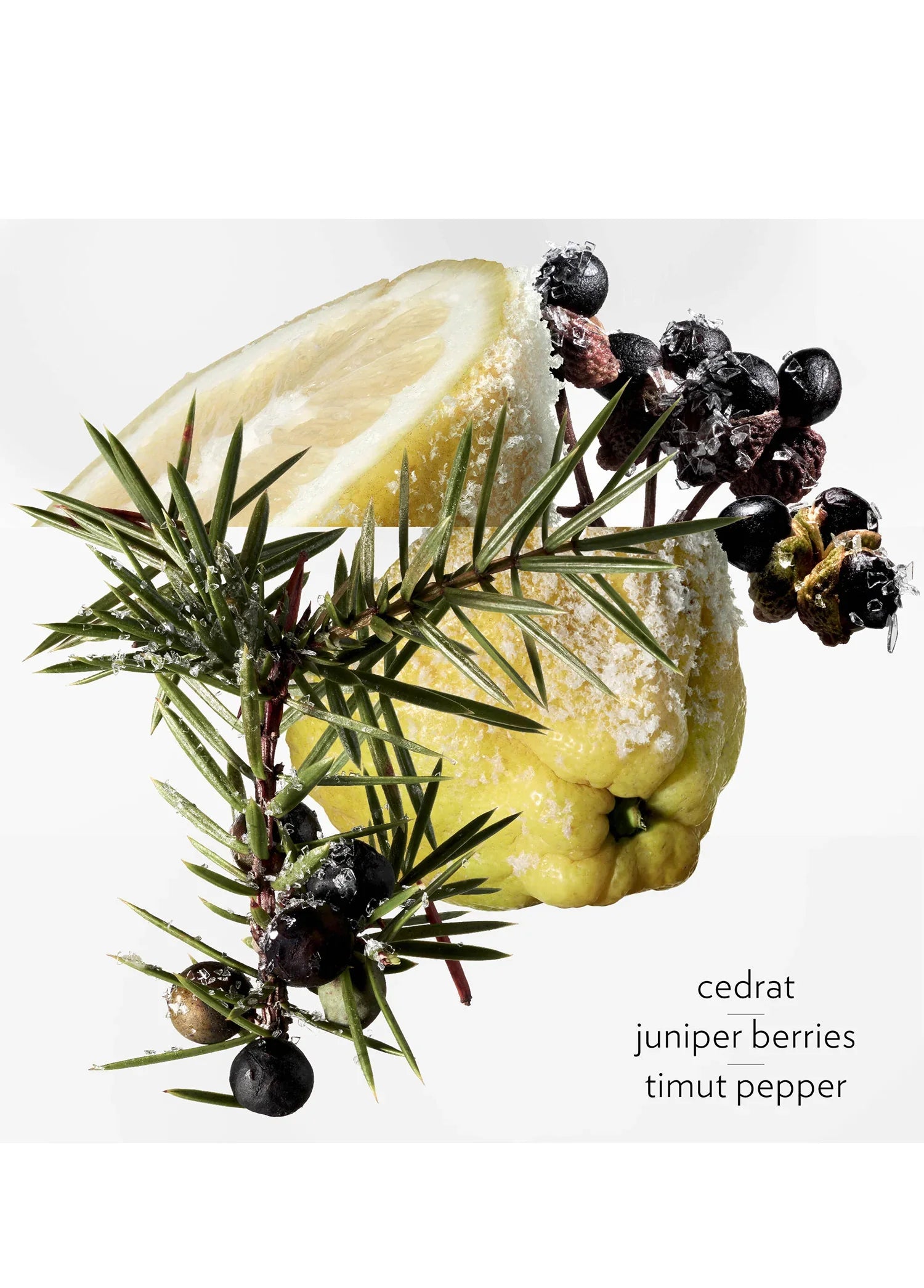 hermes-terre-dhermes-eau-givree-edp-50-ml-erkek-parfum-01561-04 image