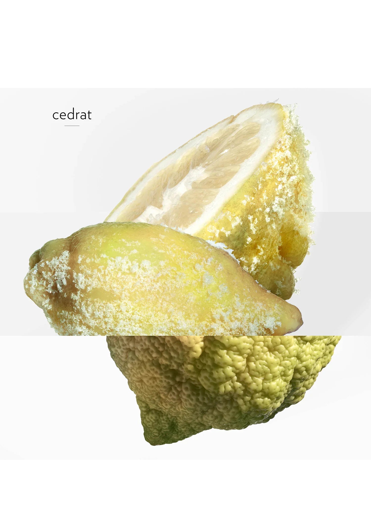 hermes-terre-dhermes-eau-givree-edp-50-ml-erkek-parfum-01561-05 image