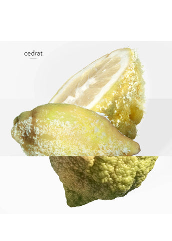 hermes-terre-dhermes-eau-givree-edp-50-ml-erkek-parfum-01561-05 image