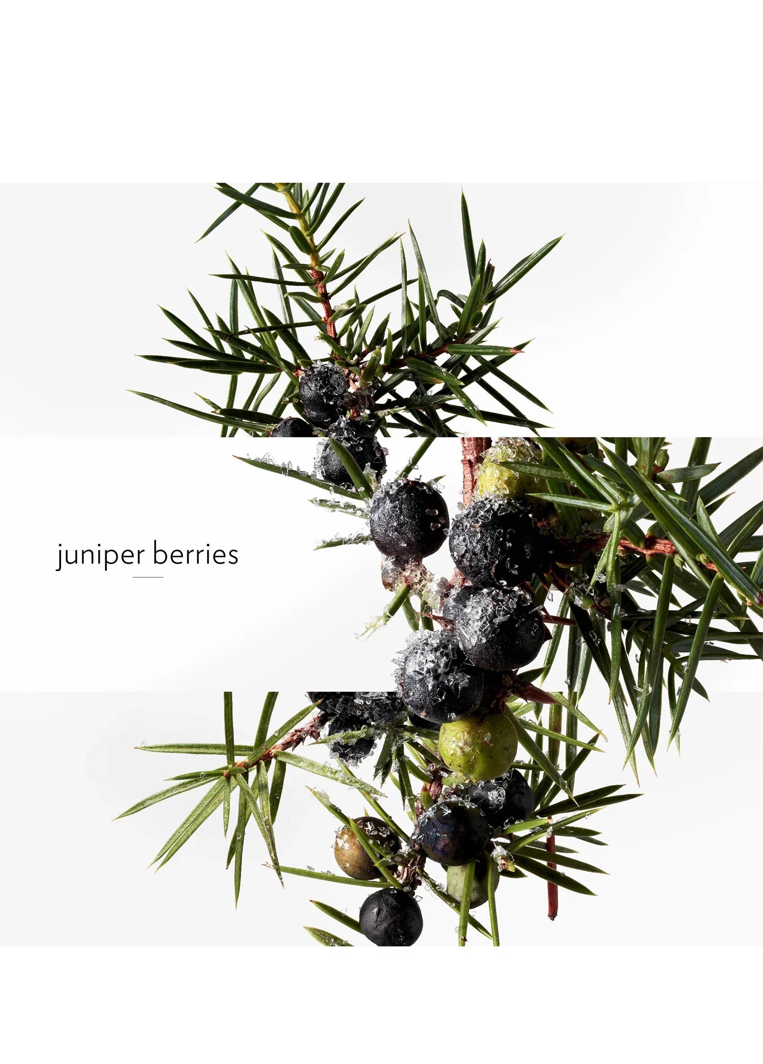 hermes-terre-dhermes-eau-givree-edp-50-ml-erkek-parfum-01561-06 image