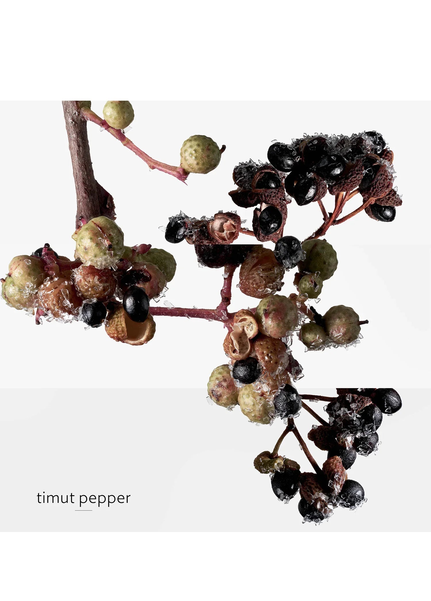 hermes-terre-dhermes-eau-givree-edp-50-ml-erkek-parfum-01561-07 image