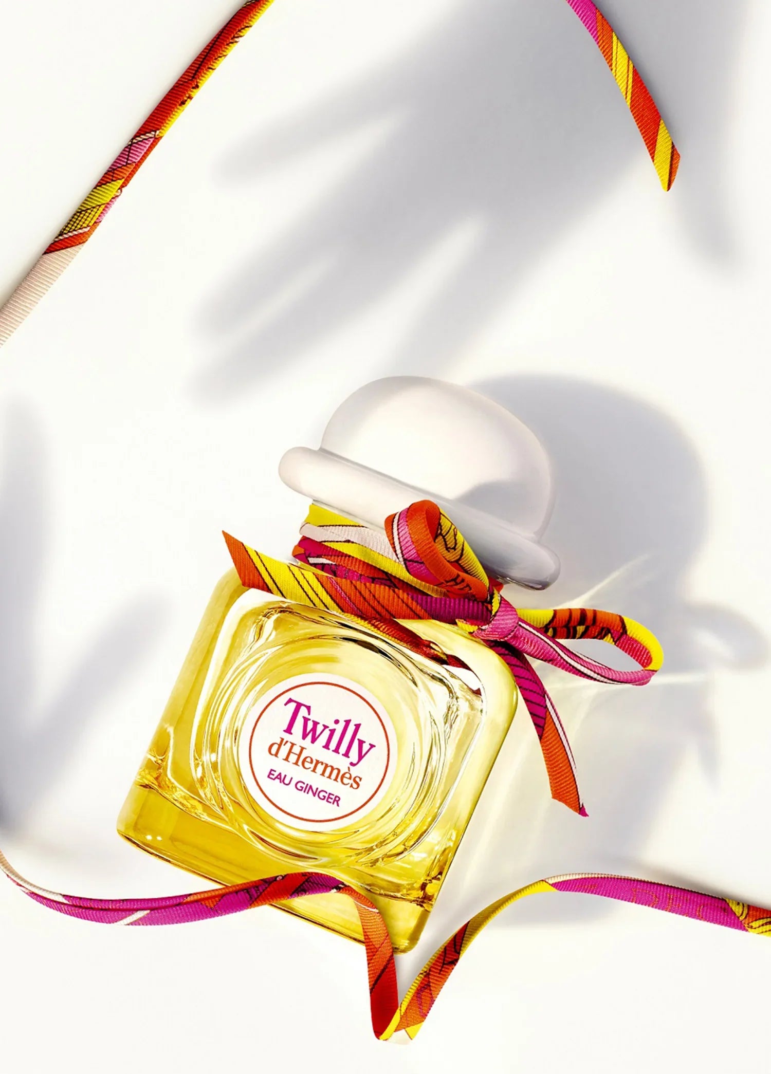 hermes-twilly-eau-ginger-eau-de-parfum-50-ml-01964-03 image