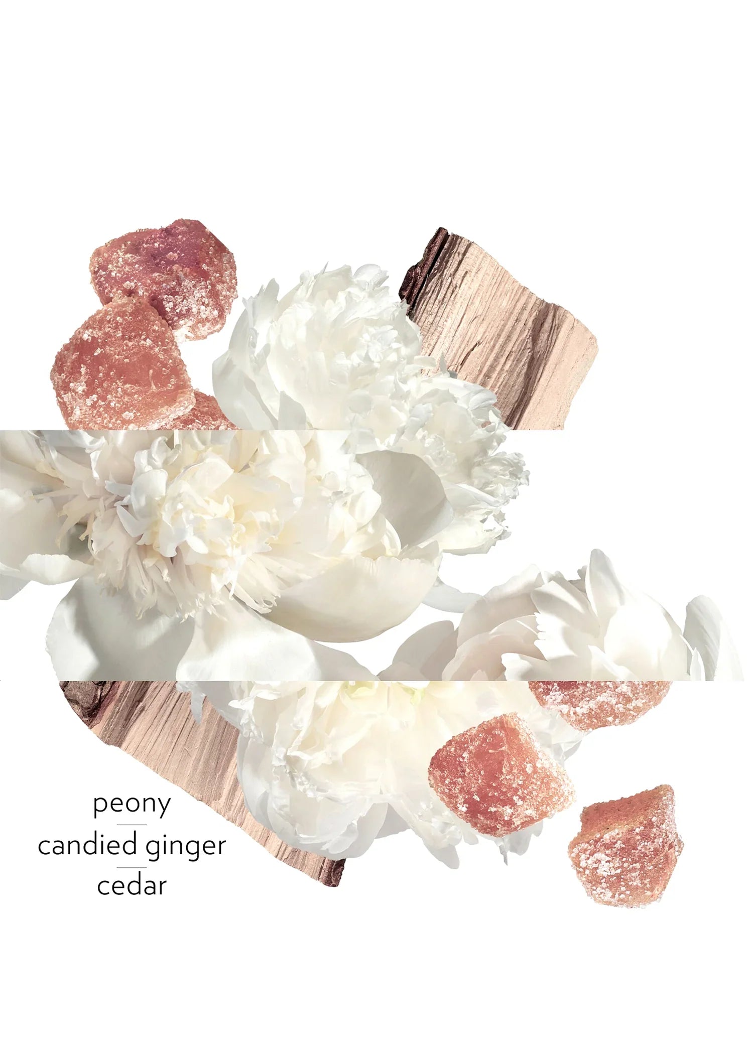 hermes-twilly-eau-ginger-eau-de-parfum-50-ml-01964-04 image