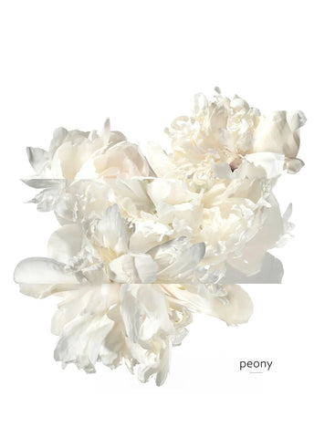 hermes-twilly-eau-ginger-eau-de-parfum-50-ml-01964-05 image