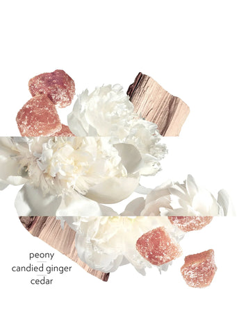 hermes-twilly-eau-gringrer-eau-de-parfum-85ml-01506-04 image