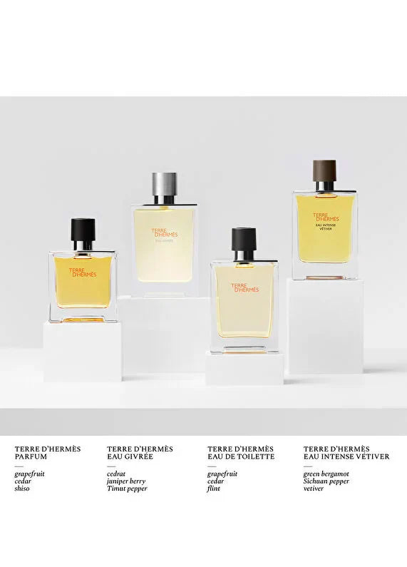 hermes-un-jardin-a-cythere-eau-de-toilette-100ml-06 IMAGE