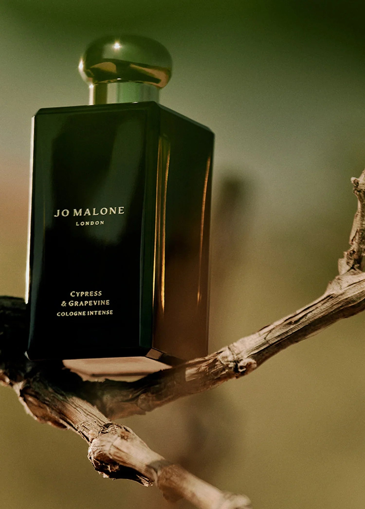 jo-malone-london-cypress-grapevine-cologrne-intense-100-ml-00572-06 image