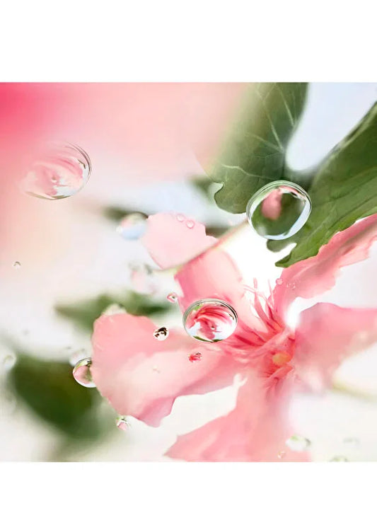 lancome-absolue-1001-roses-edp-kadin-parfum-100-ml-02 IMAGE