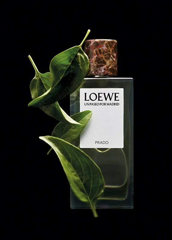 loewe-7-edt-100-ml-erkek-parfum-05 IMAGE