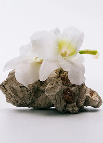loewe-a-mi-aire-edt-100-ml-kadin-parfum-03 IMAGE