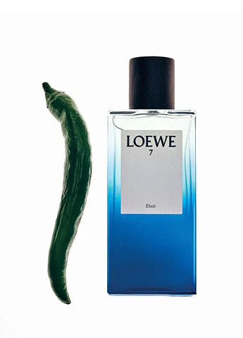 loewe-aire-anthesis-edp-50-ml-unisex-parfum-04 IMAGE