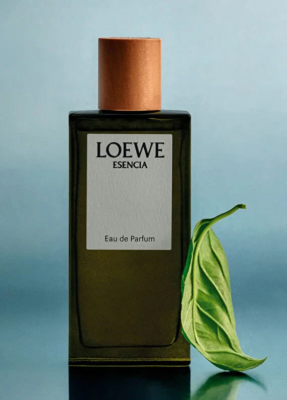 loewe-essencia-edp-50-ml-erkek-parfum-05 IMAGE