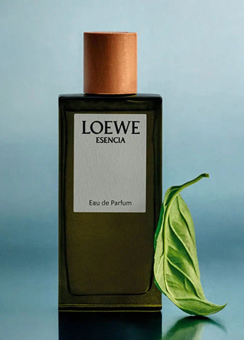 loewe-essencia-edp-50-ml-erkek-parfum-05 IMAGE