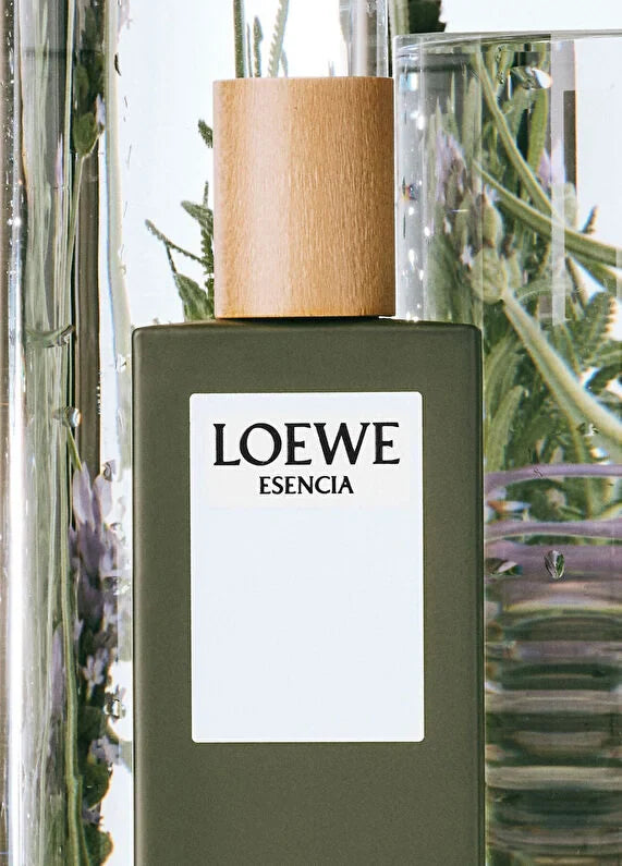 loewe-essencia-edt-100-ml-erkek-parfum-04 IMAGE