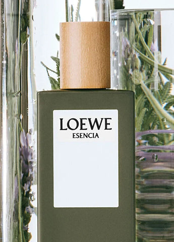 loewe-essencia-edt-100-ml-erkek-parfum-04 IMAGE