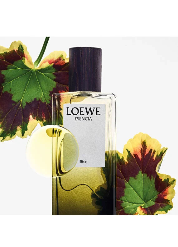 loewe-essencia-elixir-edp-100-ml-erkek-parfum-04 IMAGE