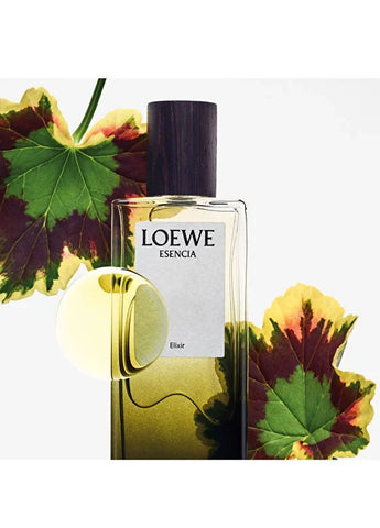 loewe-essencia-elixir-edp-100-ml-erkek-parfum-04 IMAGE