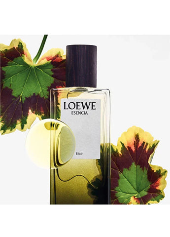 loewe-essencia-elixir-edp-50-ml-erkek-parfum-04 IMAGE