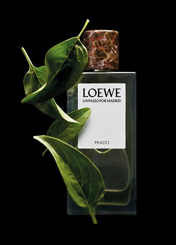 loewe-loewe-uppm-prado-100ml-05 IMAGE
