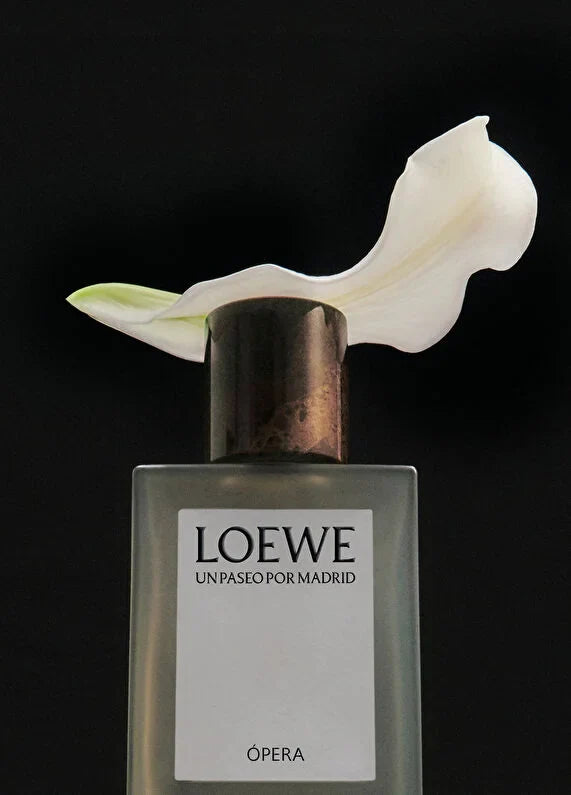 loewe-opera-edp-100-ml-unisex-parfum-04 IMAGE