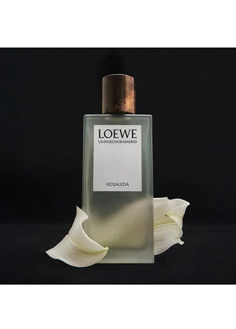 loewe-solo-edt-50-ml-erkek-parfum-04 IMAGE
