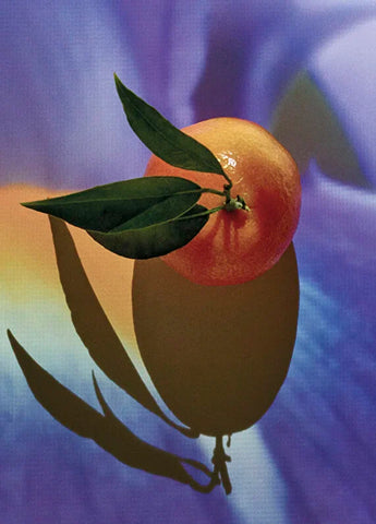 loewe-solo-elixir-100-ml-erkek-parfum-03 IMAGE