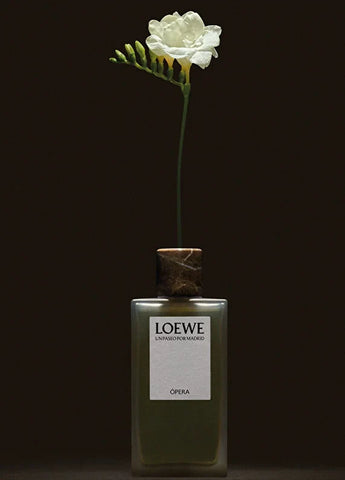 loewe-solo-ella-edt-100-ml-kadin-parfum-04 IMAGE