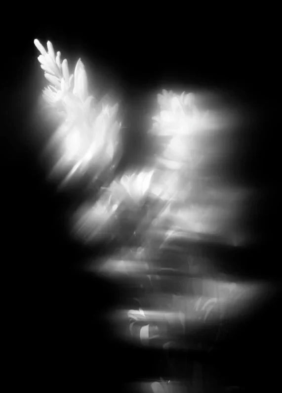 maison-crivelli-tubereuse-astrale-extrait-50ml-parfum-06 IMAGE