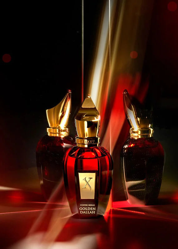 xerjoff-purple-accento-unisex-100-ml-parfum-03 IMAGE