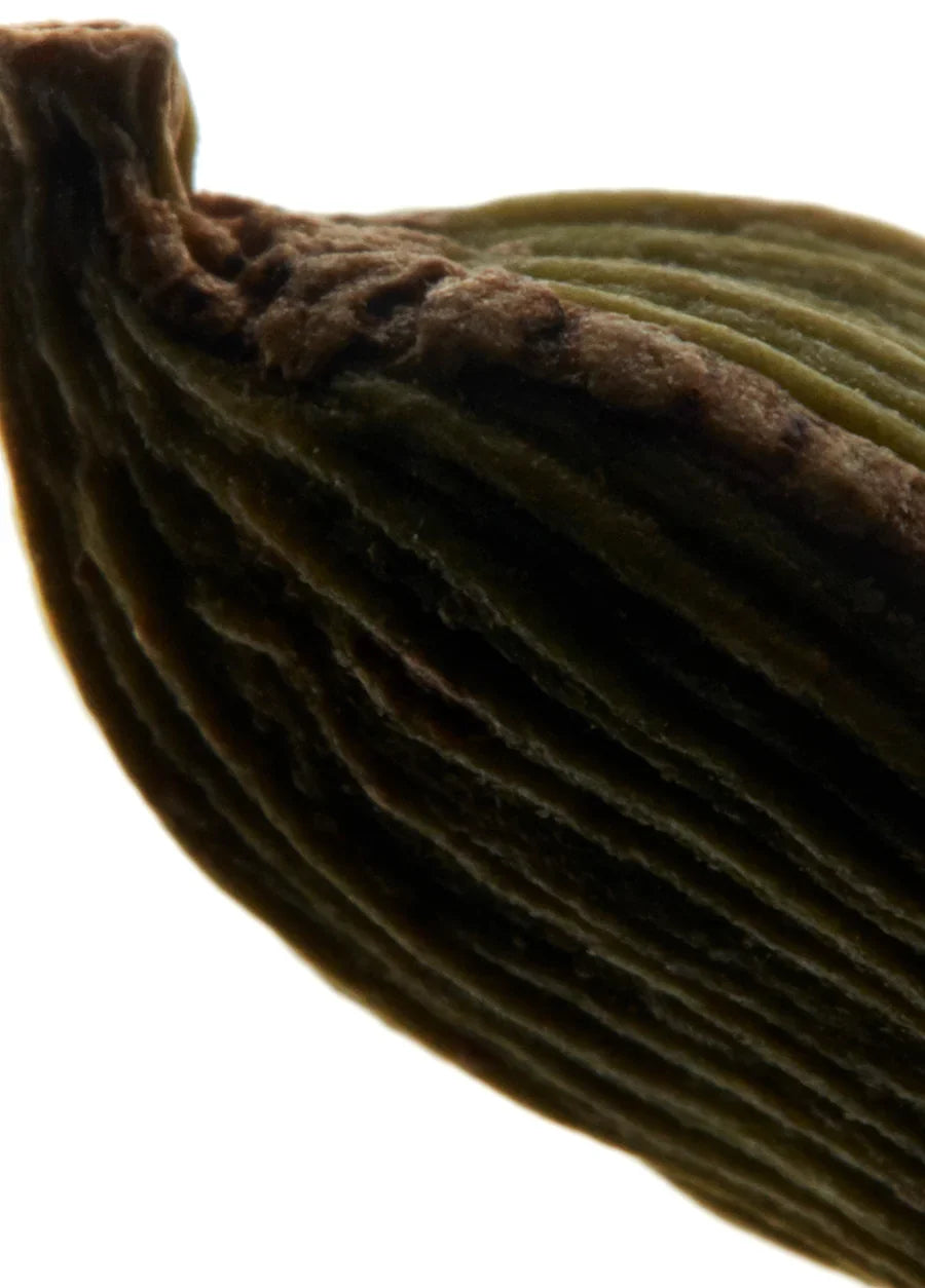 yves-saint-laurent-la-nuit-de-lhomme-le-parfum-100ml-00320-03 image