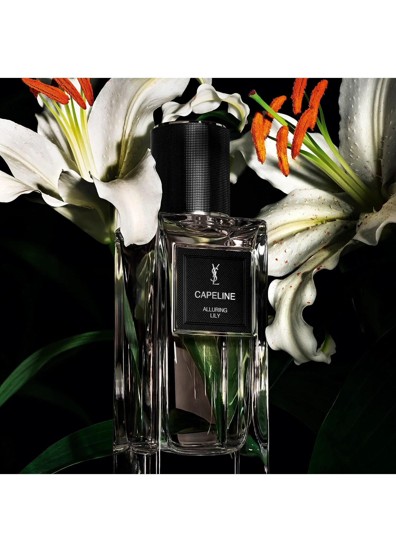 yves-saint-laurent-le-vestiaire-des-parfums-capeline-03412-03 image