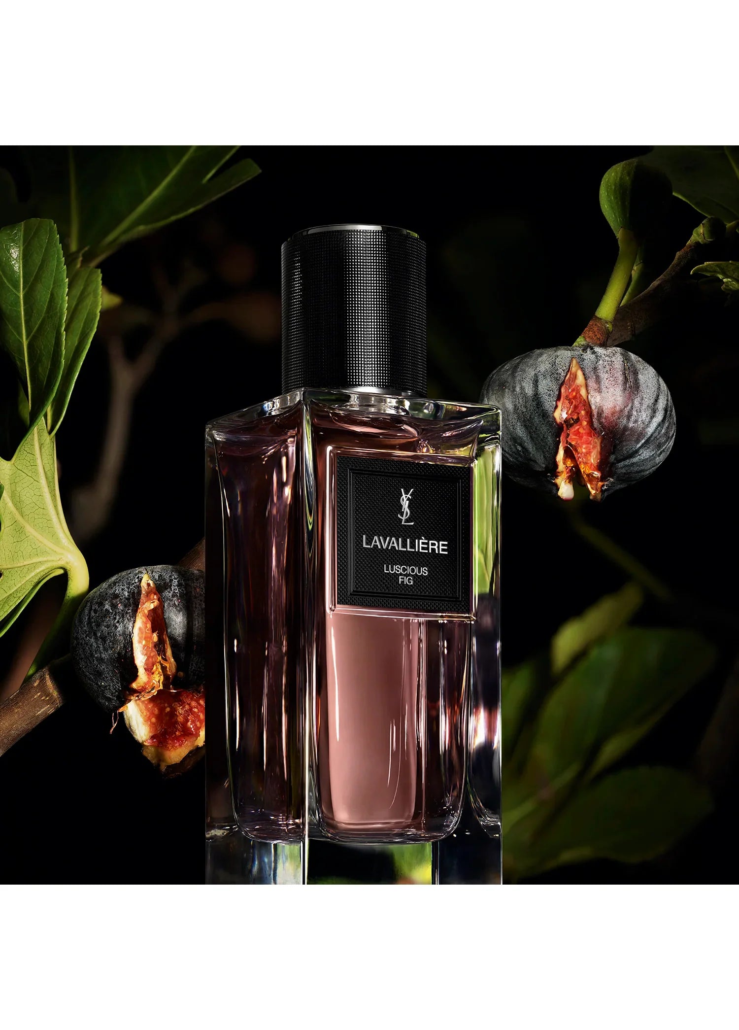 yves-saint-laurent-le-vestiaire-des-parfums-lavalliere-03275-03 image