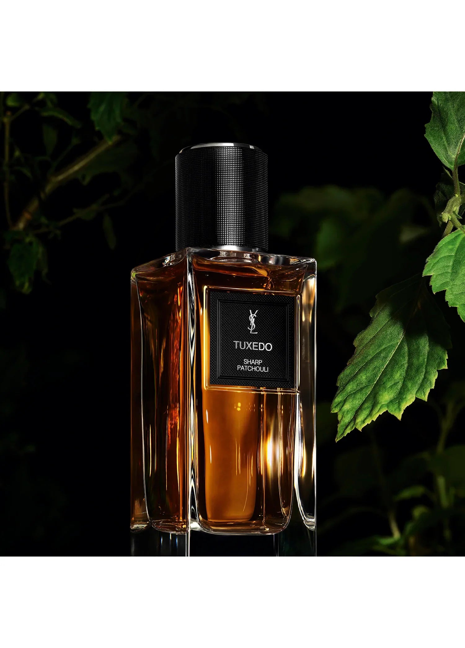 yves-saint-laurent-le-vestiaire-des-parfums-tuxedo-125ml-00413-03 image