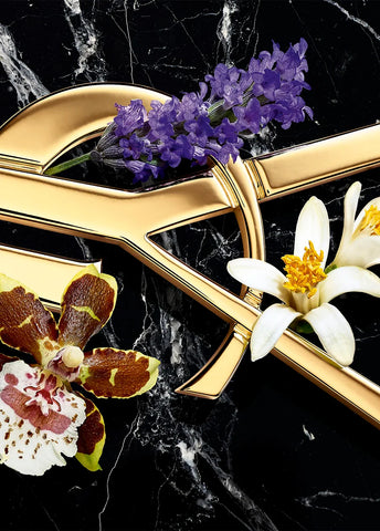 yves-saint-laurent-libre-eau-de-parfum-intense-50ml-00199-03 image