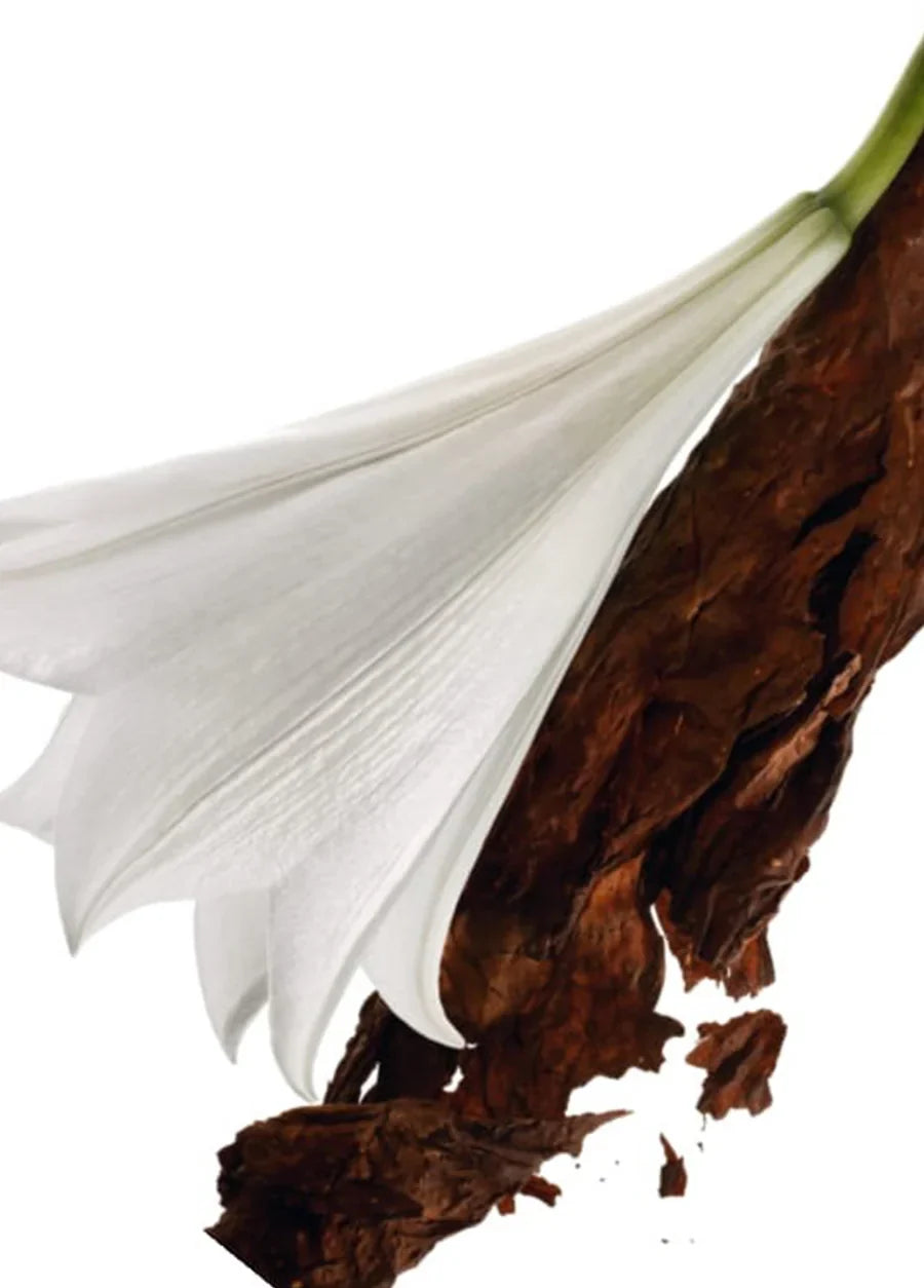 yves-saint-laurent-mon-paris-edp-90ml-00607-03 image