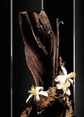 yves-saint-laurent-myslf-le-parfum-60-ml-01144-04 image