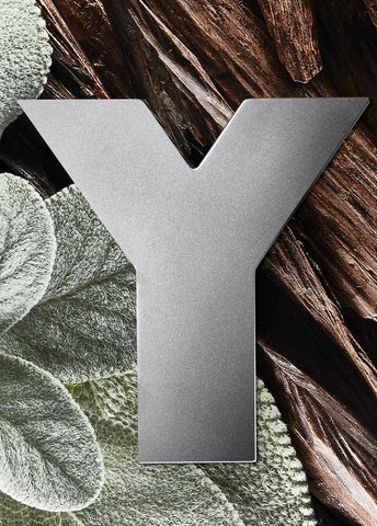 yves-saint-laurent-y-edp-refill-150-ml-01138-04 image