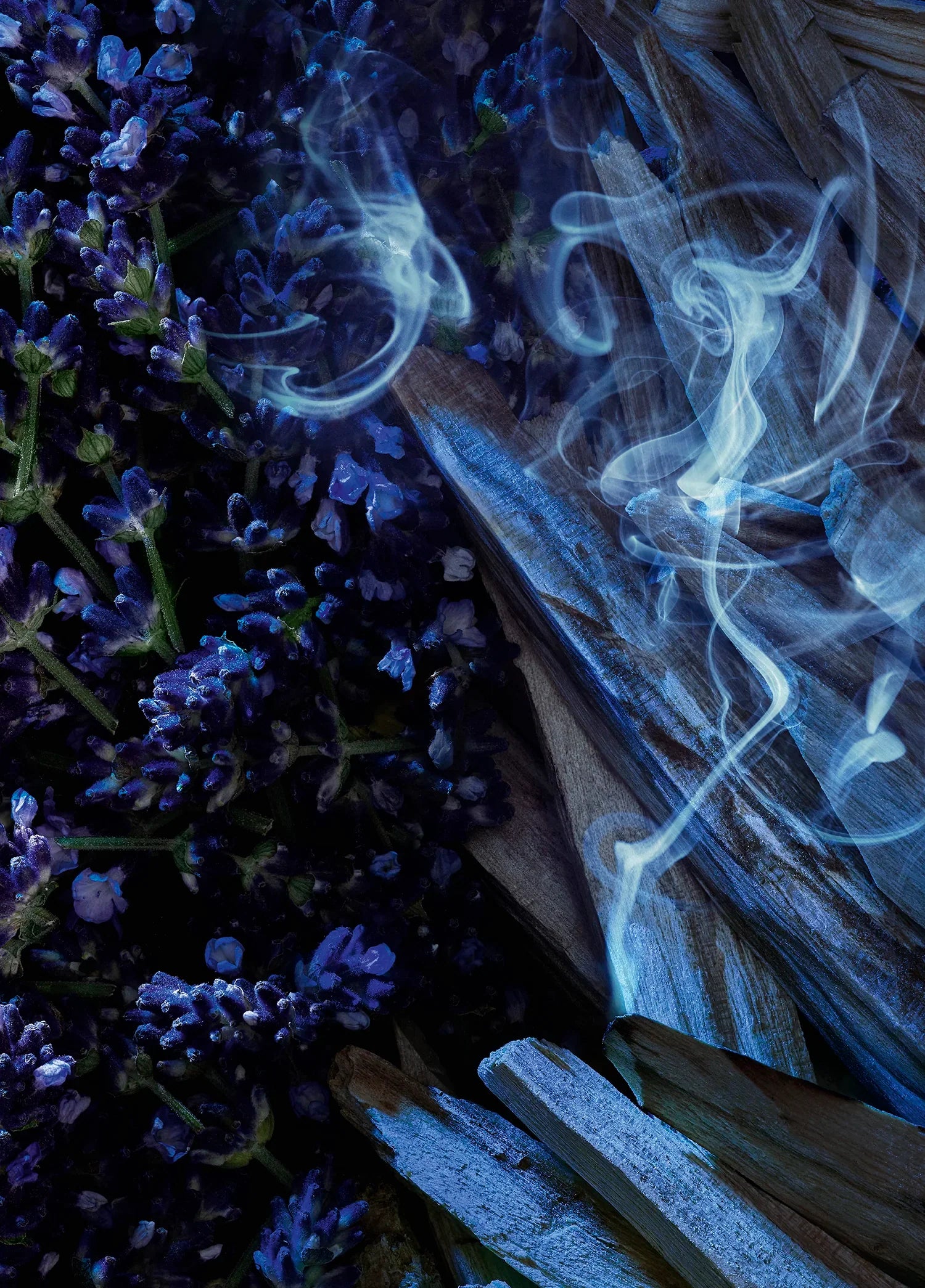 yves-saint-laurent-y-elixir-60-ml-01513-03 image