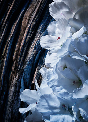 yves-saint-laurent-y-elixir-60-ml-01513-04 image