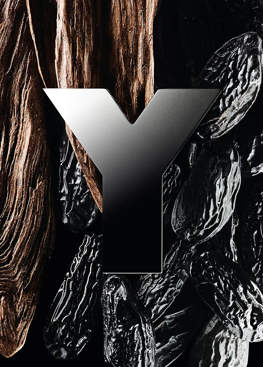 yves-saint-laurent-y-men-edp-60ml-00593-03 image