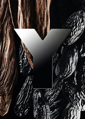 yves-saint-laurent-y-men-edp-60ml-00593-03 image