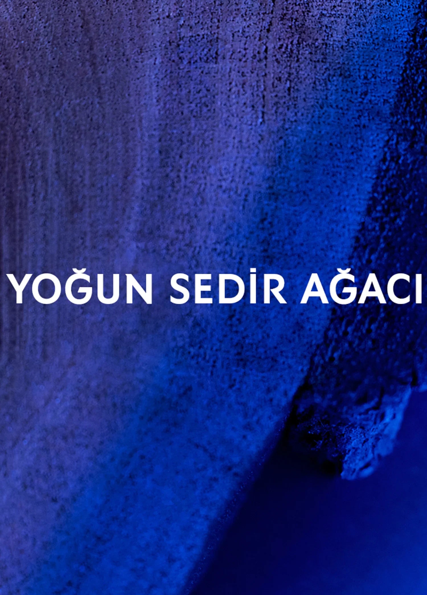 yves-saint-laurent-y-men-le-parfum-60ml-01023-05 image